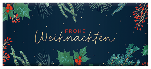 schokolade-30g-frohe-weihnachten-16849.png
